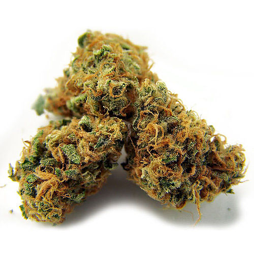 Pineapple Express Weed Strain